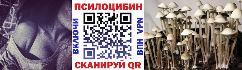 Купить где  Неман  Псилоцибиновые грибы Magic Shrooms 